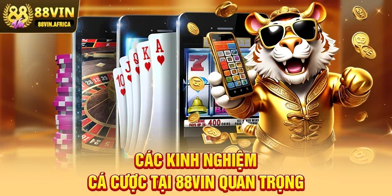 Các Kinh Nghiệm Cá Cược Tại 88vin Quan Trọng